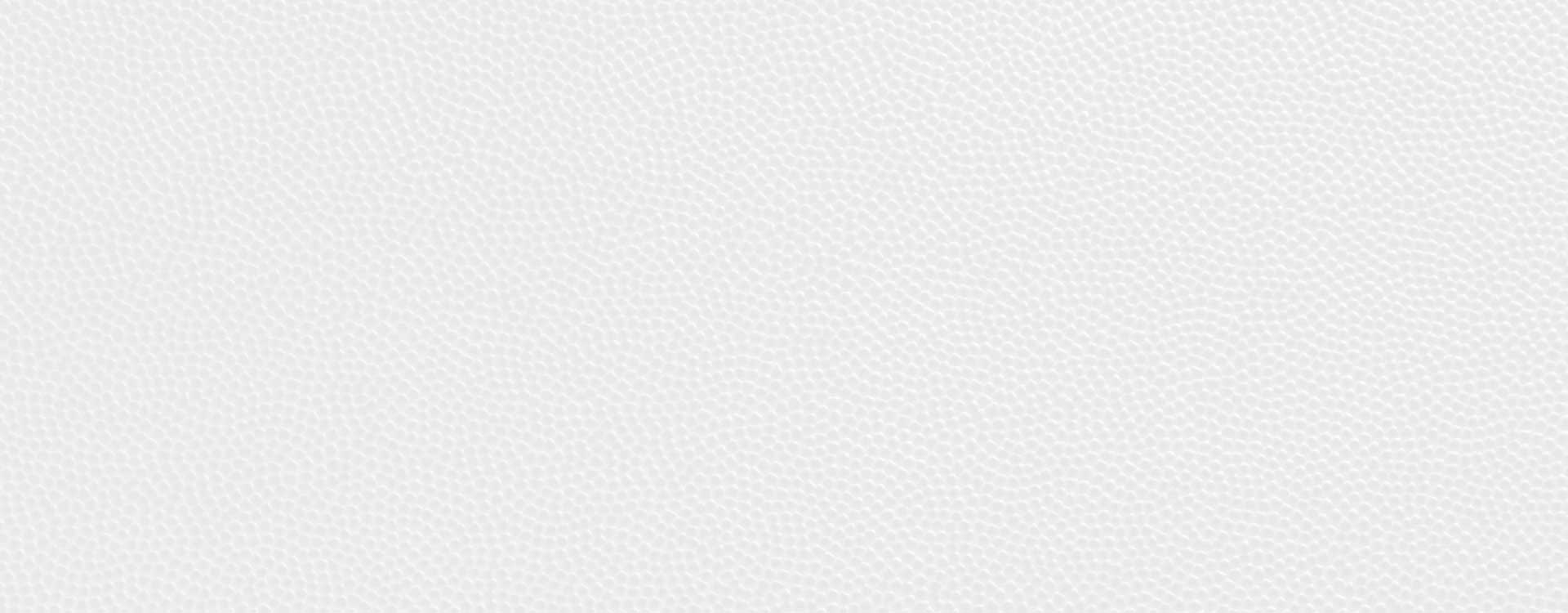 More about Knight Legacy A very light grey basketball texture background.